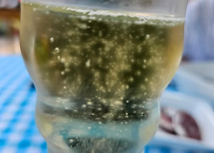 Domaine Mon Doux Reve
