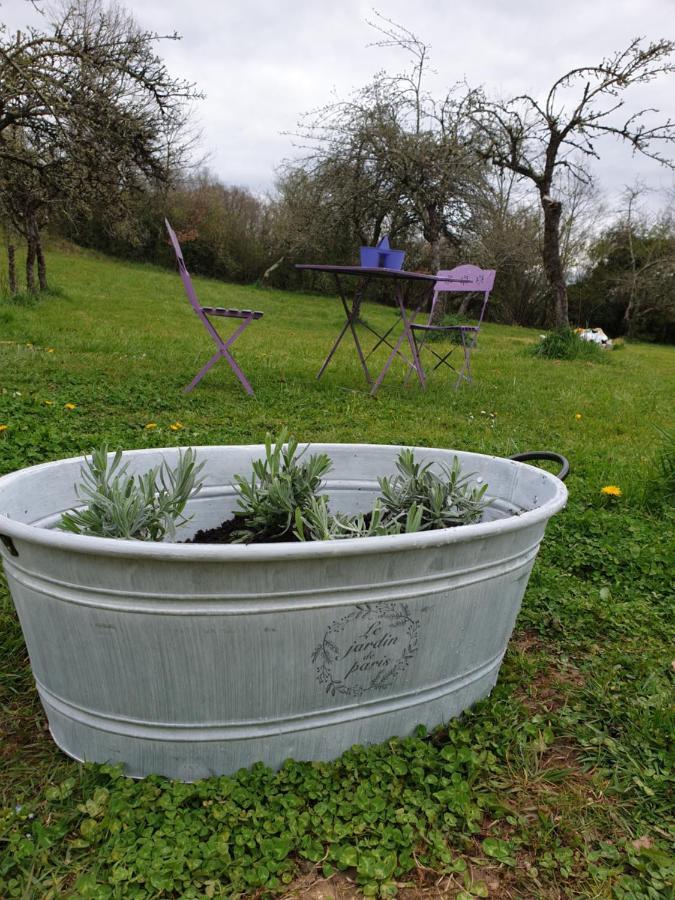 Domaine Mon Doux Reve * Terrasson-Lavilledieu
